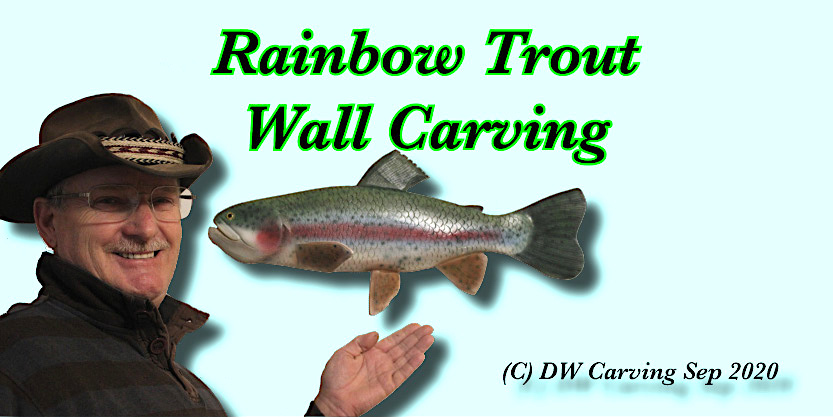 Large wall display rainbow trout, fish art, trout sculpture